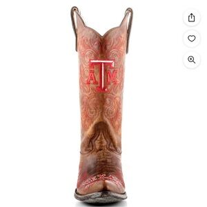 Brand NWT and box Texas ATM GAMEDAY BOOTS.